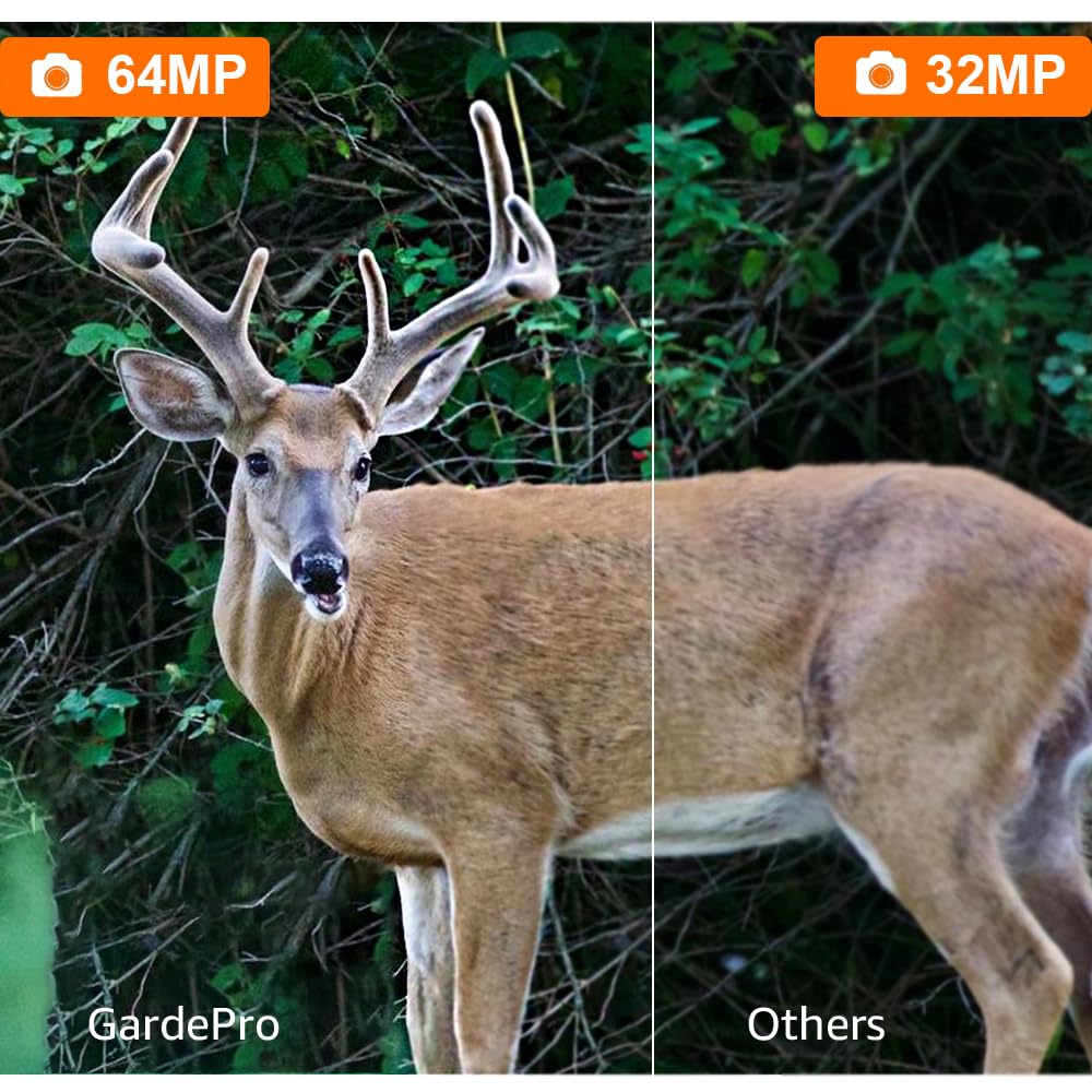 GardePro A3S 2-Pack Trail Camera (Non-Cellular, Non-WiFi), Enhanced Low-Light Performance, 64MP Photo & 1296P HD Video, 0.1s Trigger, 100ft No-Glow Night Vision, Motion Activated Wildlife Camera
