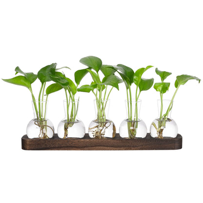 YIBOT Plant Propagation Stations,Glass Propagation Vases for Plants Terrarium with Wooden Tray Plant Lover Gifts for Propagating Hydroponic Plants Home Office Decor(5 Vase)