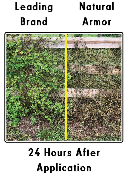 Natural Armor Weed Killer - All-Natural Concentrated Formula | Glyphosate-Free, 128 OZ Gallon