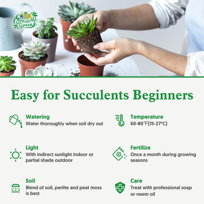 Sprout N Green 4" String of Pearls, Live Trailing Succulent Fully Rooted in Pots with Soil Mix, for Home Office Wedding Hanging Decoration, DIY Projects, Party Favor, Keep Away from Pets