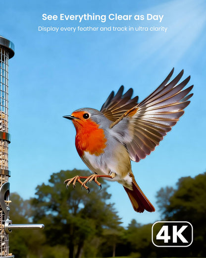 Misstech 4K UHD Solar Trail Camera, Outdoor Wildlife Cameras for Yard Monitoring, 0.1s Fast Motion-Activated to Record, 64MP/4K Clear Night Vision, No Monthly Fee, App Control, IP66, Local Storage