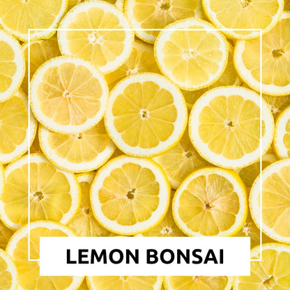 Dwarf Lemon Bonsai Tree Seeds, 20 Seeds, Grow a Delicious Fruit Bearing Bonsai Tree, Great for Home Gardening