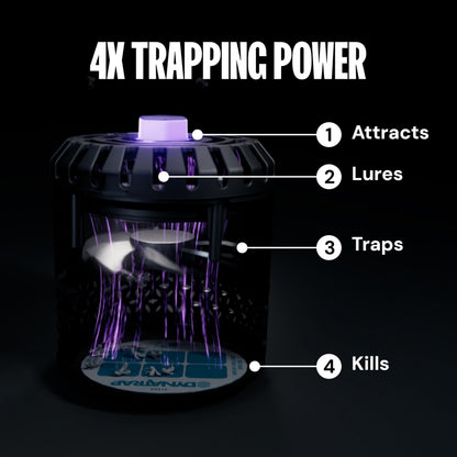 DynaTrap DT152 Indoor Insect Trap and Killer – Catches and Kills Gnats, Flies, Moths & Other Flying Insects (Pack of 6)