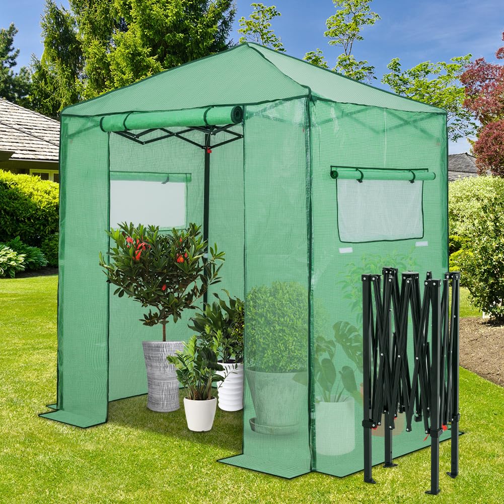 EAGLE PEAK 6x4 Portable Walk in Greenhouse, Pop Up Indoor Outdoor Greenhouse, Green House Kit with Zippered Roll-Up Doors and Windows, PE Cover, Clear/Green