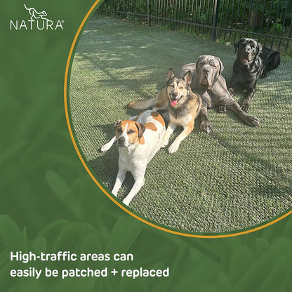 Natura PowerRun 10376807 Outdoor Artificial Grass for Dogs, Turf Grass Patch Blends in with Natural Grass, Keeps Paws and Homes Clean, 1.5 ft. x 15 ft., Green