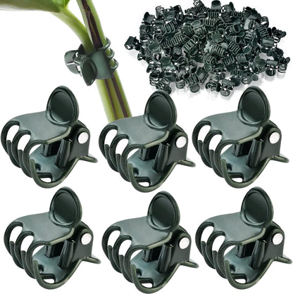 AccEncyc Plant Clips - 100 Pcs Orchid Support Clips for Stems, Vines & Climbing Plants