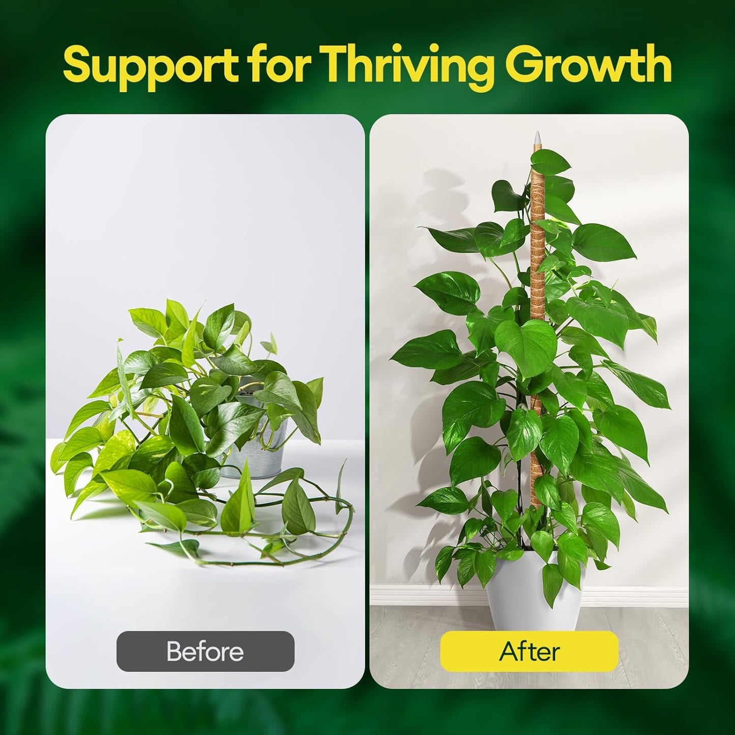 Maygrove 3-Pack 48” Bendable Moss Poles - Ideal Support for Climbing Monstera & Indoor Plants