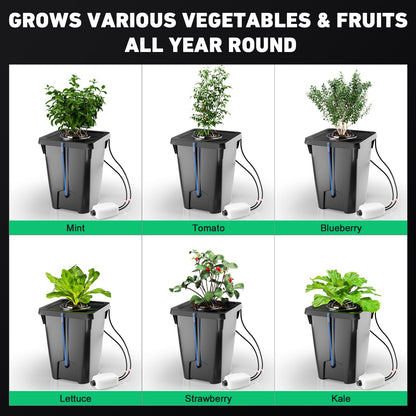 2 Buckets DWC Hydroponics Grow System with Top Drip Kit, 7 Gallon Deep Water Culture with Air Pump, Air Stone, Air Hose, Recirculating Drip Garden System