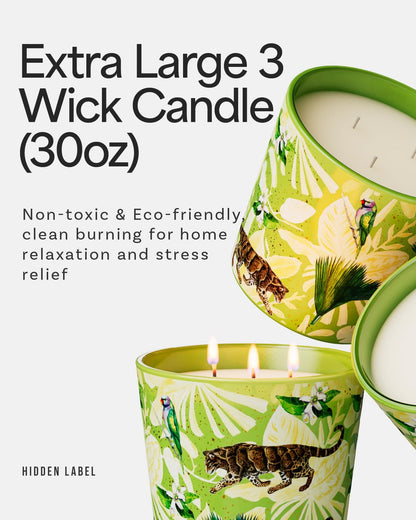 Verbena & Fig Leaf Scented Candle, 30oz Large 3 Wick Soy Candle, 100+ Hours Long Burning, Spa-Quality Aromatherapy for Home & Bathroom, Non-Toxic Luxury Candle Gifts for Housewarming