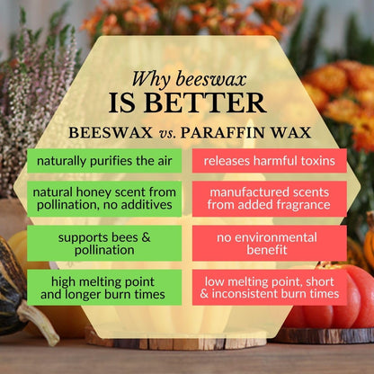 Big Dipper Wax Works Beeswax Pumpkin Candle – Large (4" × 3") Natural | Handcrafted 100% Pure Beeswax Harvest Candle | Unscented 40-Hour Burn | Fall & Thanksgiving Centerpiece