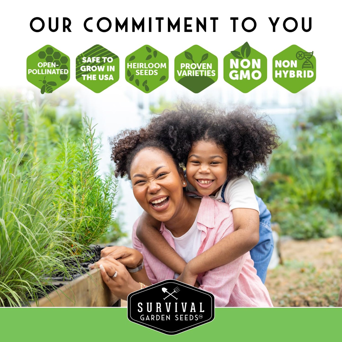 Ultimate Medicinal Herb Seeds Variety Pack – 36 Heirloom Varieties, 28,000+ Lavender, Calendula, Echinacea, Peppermint, Yarrow – Non-GMO Garden Kit by Survival Garden Seeds