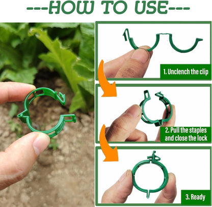 Skiennix Plant Support Clips - 100 Durable Tomato Clips for Trellis & Climbing Plants | Green