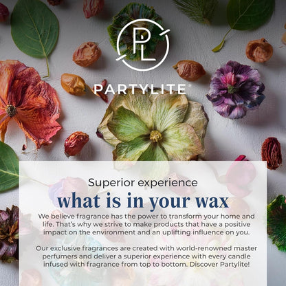 PartyLite Fig Fatale Scented Escential Jar™ Candle, with Notes of Apricot, Green Fig, Peach, Mango, Strawberry and Vanilla, 7.75oz 1-Wick Aromatherapy Reusable Glass Jar, 50 Hour Burn Time
