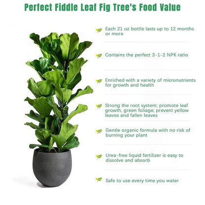 FOLLOWIN Fiddle Leaf Fig Fertilizer - Urea-Free Plant Food with 7 Chelated Micronutrients, 21 fl oz