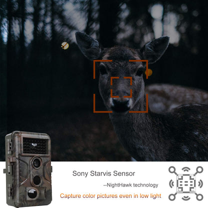 2 Pack Trail & Game Camera, 64MP 1296P Professional Outdoor Cam with 0.1s Trigger Night Vision Motion Activated, IP66 Waterproof 120° Wide Angle for Outdoor Wildlife Monitoring & Yard Security