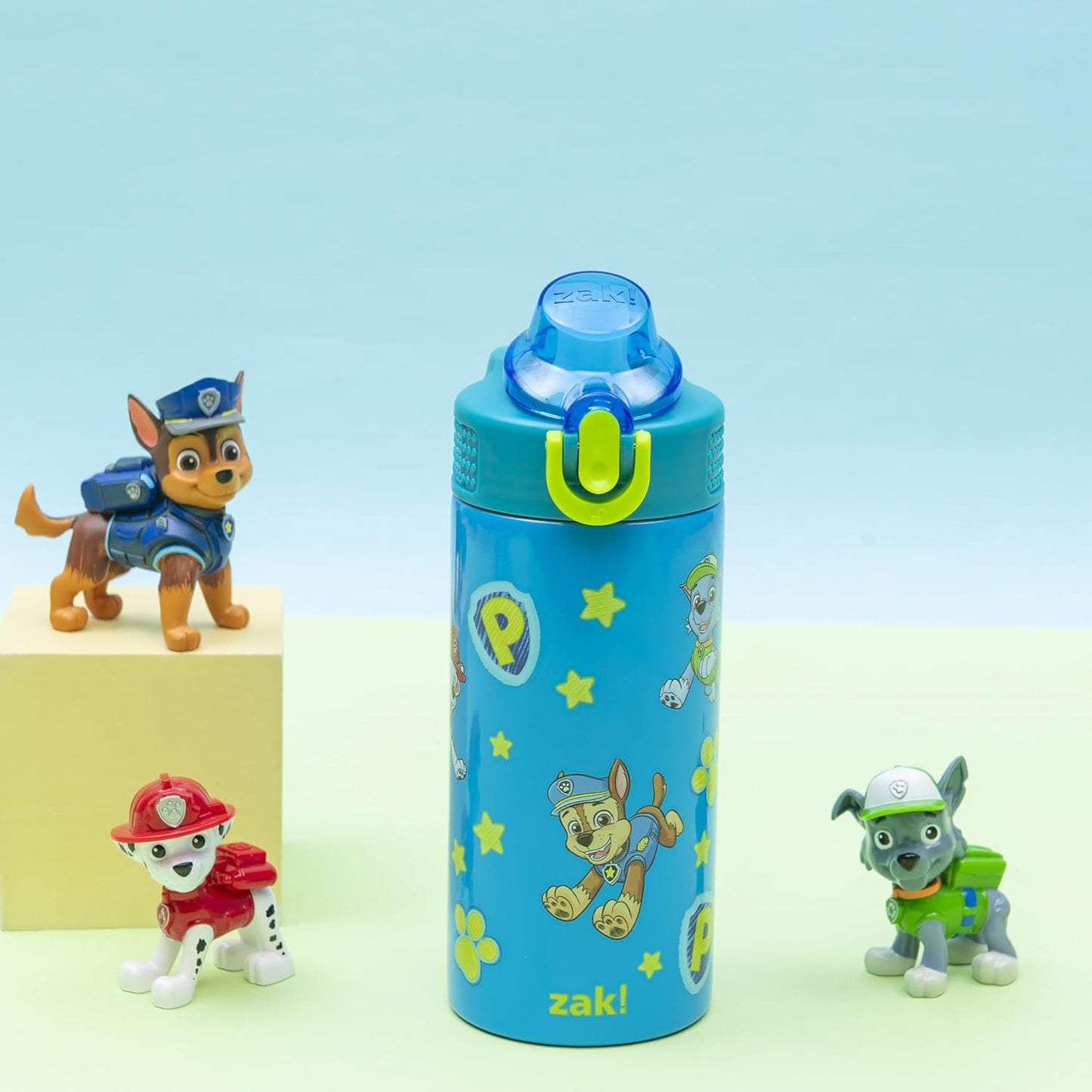 Zak Designs PAW Patrol Kids Water Bottle - 14oz Stainless Steel with Straw & Leak-Proof Spout | Sage Color