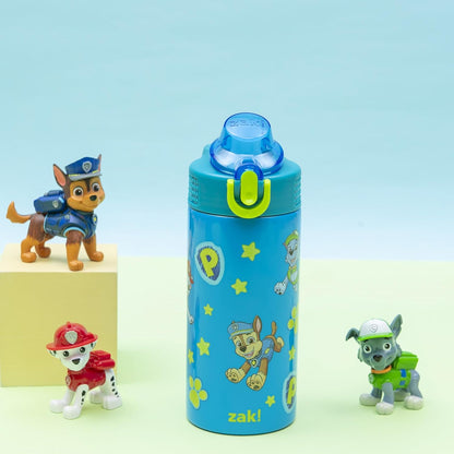 Zak Designs PAW Patrol Kids Water Bottle - 14oz Stainless Steel with Straw & Leak-Proof Spout | Sage Color
