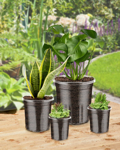PACETAP 40Pack 6.5/5/4/3.5 Inch Reinforced Clear Nursery Pots with Drainage Holes, Variety Pack Thickened Plastic Plant Pots with 20 Plant Labels for Indoor Outdoor Flower Seed Starter