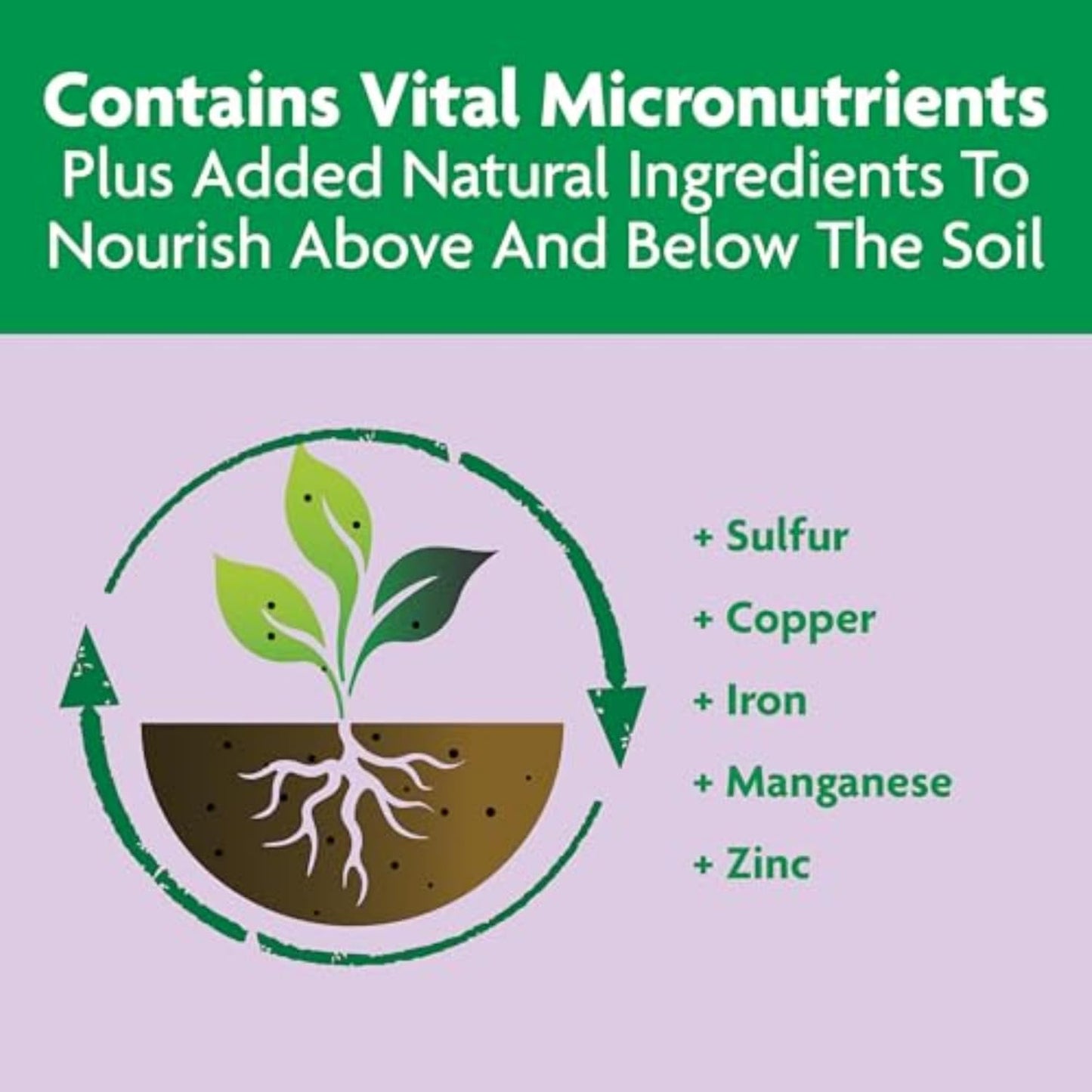 Miracle-Gro Shake 'n Feed Rose & Bloom Plant Food - Long-Lasting Granular Fertilizer, Feeds 3 Months - 4.5 lbs.