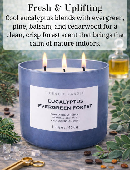 Eucalyptus Evergreen Forest 3-Wick Soy Candle | 15.8 oz Large Scented Candle for Home | Clean Burn Long Lasting | Balsam Fir Fresh Forest Scent | Gift Ready