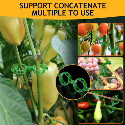 Regine Switzerland 200Pcs Plant Support Clips - Durable Tomato & Grape Vine Clamps for Garden Netting (Green)