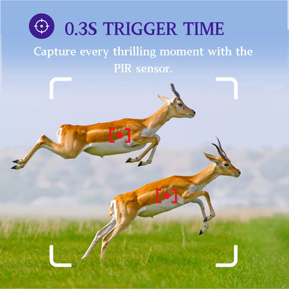 BLAZEVIDEO 2-Pack Trail Camera 64MP 1296P Video, 940nm No-Glow Night Vision, 70° Focused PIR Detection (Fewer False Alerts), 0.3s Trigger Motion Activated IP66 Waterproof Game Cam for Wildlife & Yard