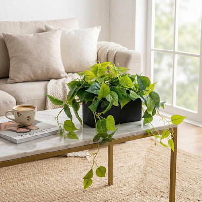 MyGift Vibrant Lifelike Artificial Plant Pothos Leafy Vine Greenery in Black Concrete Rectangular Planter Box