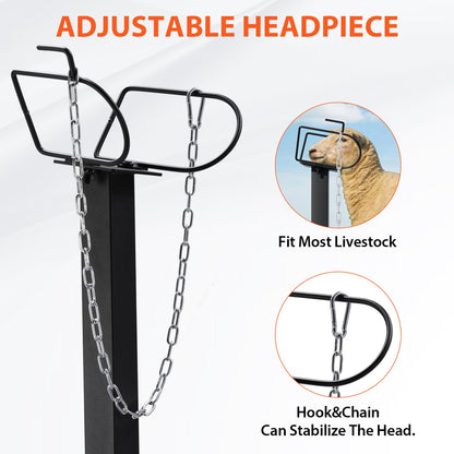 GTPLAYER Goat Milking Stand with Hand Crank,Wheels – 48"x23" Adjustable Headpiece & Height, for Grooming, Milking, Hoof Trimming, Heavy Duty Metal Sheep/Goat Stand, 500 LB Capacity Dark-Black