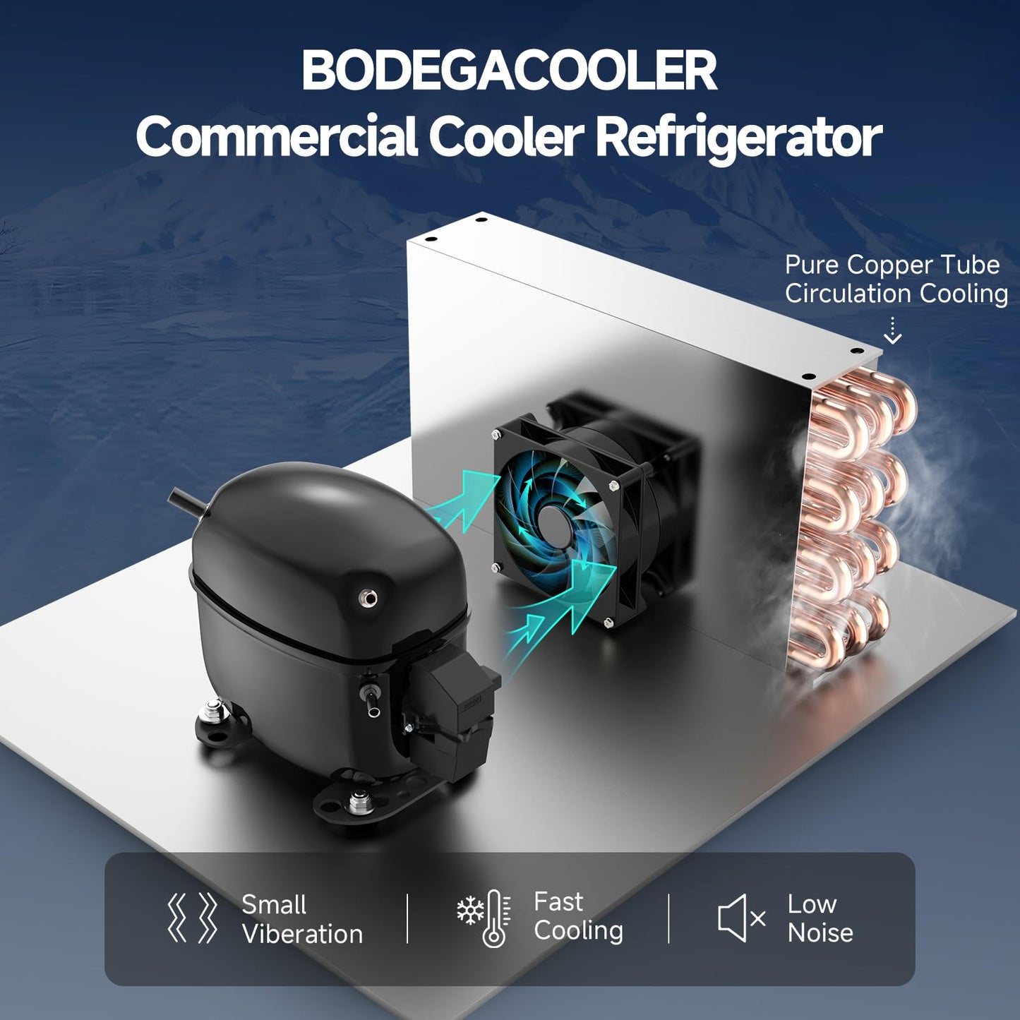BODEGACOOLER Commercial Merchandiser Refrigerator, 40 Cu.Ft Double Glass Door Beverage Cooler, Upright Display Refrigerator with Soft LED Light, Adjustable Shelves, 4 Heavy-Duty Casters, Black