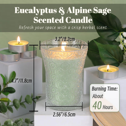 HAVITI Eucalyptus & Alpine Sage Scented Candle, Galentines Valentines Mother's Day Soy Jar Candles Gift Men Women,8 OZ Aromatherapy Luxury Candles for Home Decor