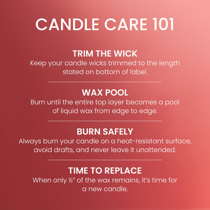 Yankee Candle Studio Scented Candle with up to 50 Hour Burn Time, Premium Plant Wax Blend for Consistent Burn, 10 oz Jar Candle with Room Filling Fragrance, Cliffside Sunrise (Pack of 1)