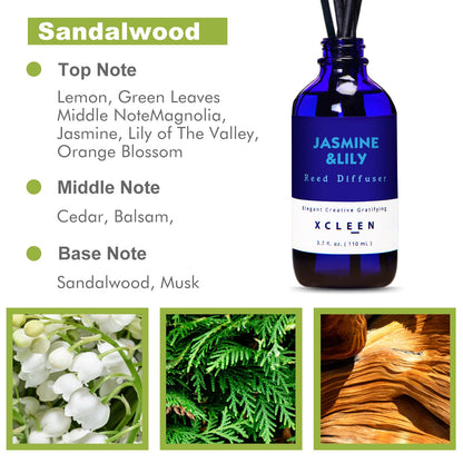 Reed Diffusers Set, 3.7 Oz Scent Diffuser, 6 Reed Diffuser Sticks, Home Fragrance Hyacinth, Peony & Citrus, Aromatherapy Oil Diffuser Reeds, More Masculine Scent, Bathroom & Office Decor 110ml