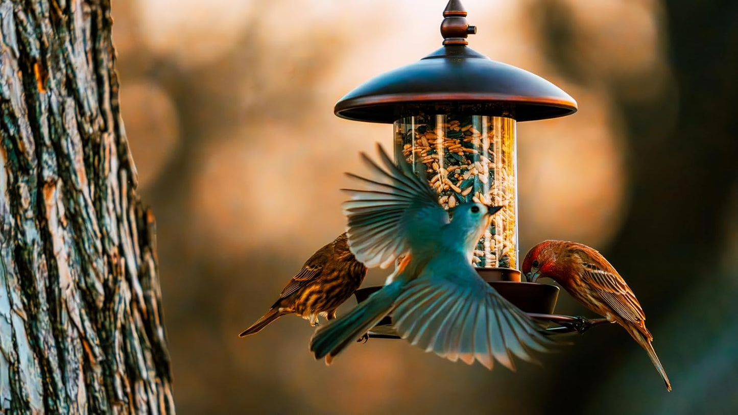Youvip Metal Roof Bird Feeder - Chew-Proof Design for Outdoor Hanging | Bronze Finish