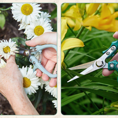 Modern Sprout Pruning Shears - Lightweight Herb Snipping Scissors with Easy Lock & Carbon Steel Blade (Green)