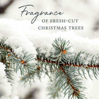 Thymes Frasier Fir Candle – Frosted Plaid Collection – Green & White Glass Jar Design – Scented Candles for Home Decor – Notes of Crisp Siberian Fir, Cedarwood & Sandalwood (Votive, 2 oz)