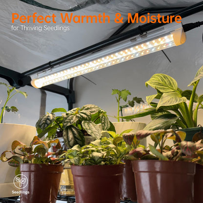 Bstrip Indoor Greenhouse with Grow Lights, PVC Tent with Waterproof Base Mat, Airflow Windows&Zippered Door, 4Pcs Grow Lights for Seed Starting with Timer, 4-Tier Greenhouse Shelf 27.2x19.3x61.8in