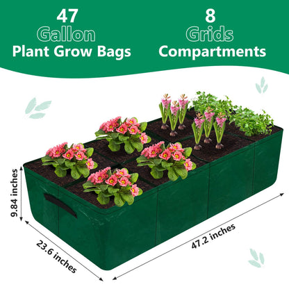Caffox 2 Pack Fabric Raised Garden Bed, 4x2x0.8ft Plant Grow Bags for Flowers and Vegetables, 94 Gallon