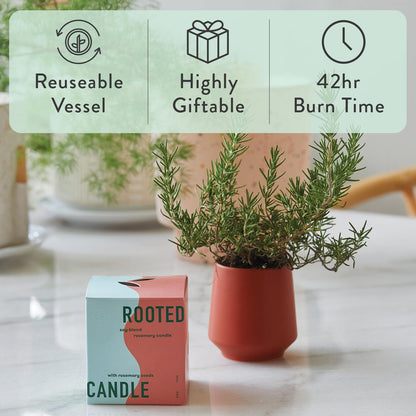 Modern Sprout - 2 in 1 Cucumber Scented & Soy Candle with Seeds that Grows into Rosemary Plant - 6 oz w/ 42 Hr Burn Time in Matte Glaze Ceramic Vessel Ideal for Indoor Herb Garden