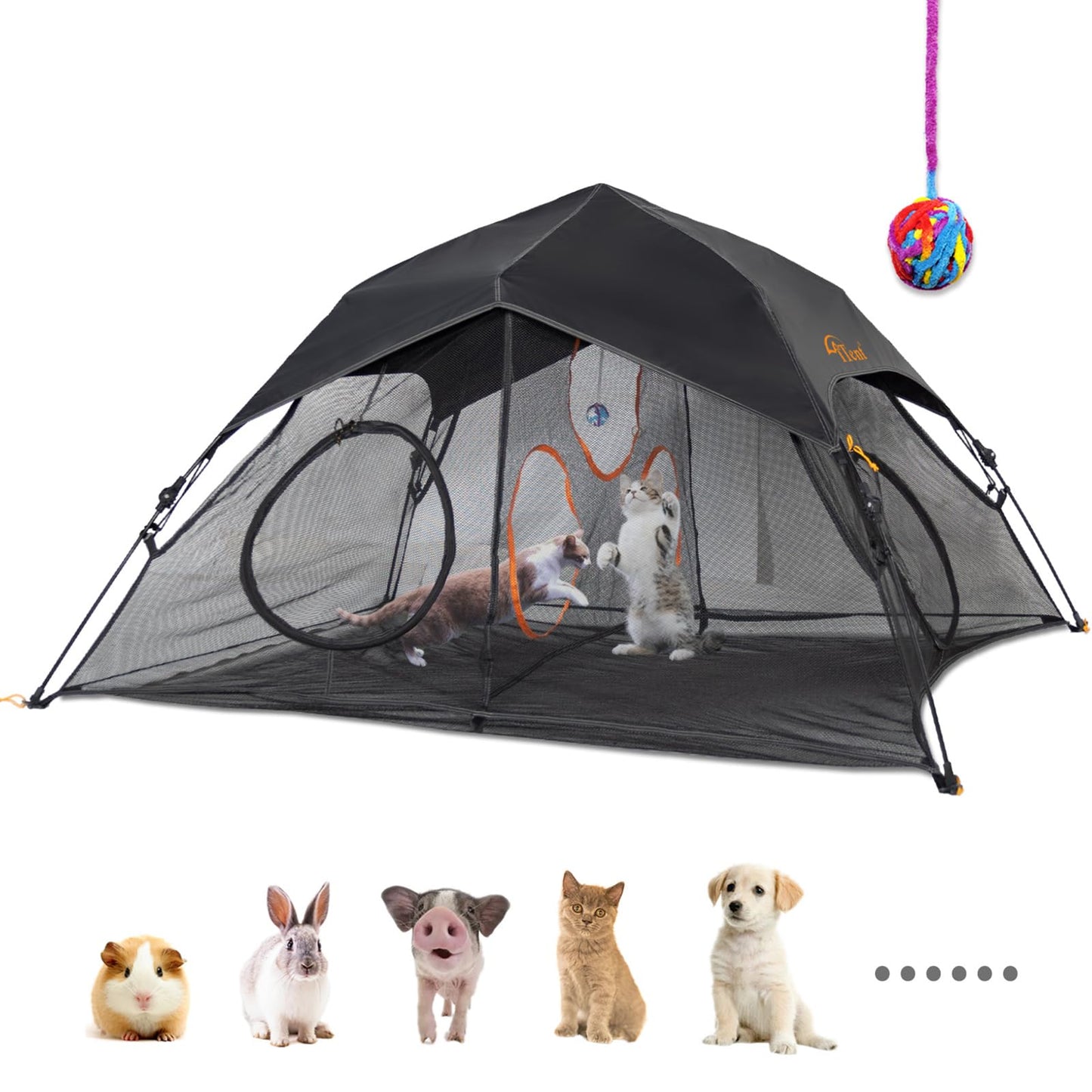 Outdoor Cat Play Tent for Indoor Cats (X- Large Portable Cat House, Outdoor Cat Enclosure for Cats and Small Animals Easy to Connect with Cat Tunnel, Cat Cube (Patented) and Cat Play Tunnel-2 Packs