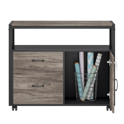 Tribesigns Modern File Cabinet with Drawers for Letter-Sized File and Door, Lockable lateral Filing Cabinet Printer Stand with Storage Shelves and with Rolling Caster for Home Office (Gray)