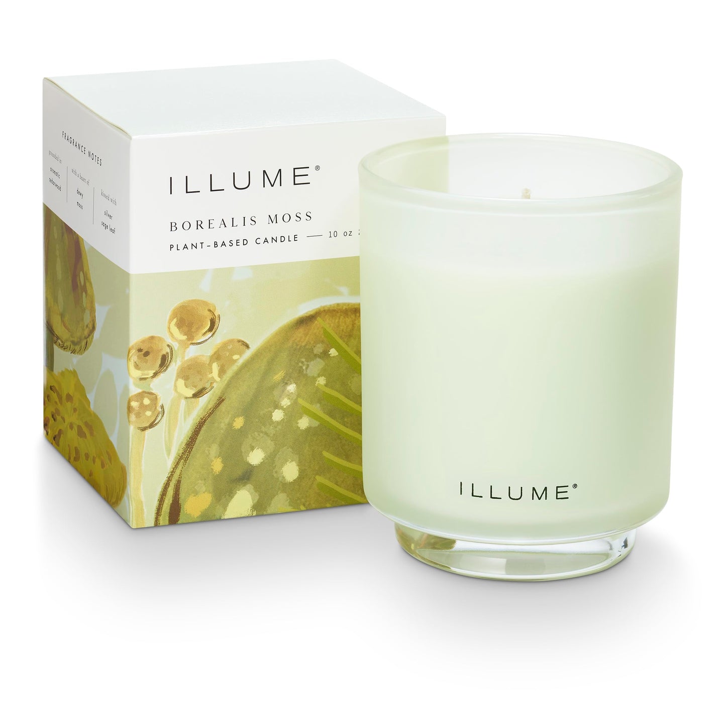 Illume Beautifully Done Borealis Moss Boxed Glass Scented Candle
