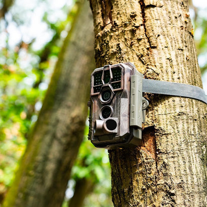 GardePro E5S 2-Pack Trail Camera (Non-Cellular, Non-WiFi), 64MP Photo & 1296P HD Video, 0.1s Trigger, 100ft No-Glow Night Vision, Motion Activated Wildlife Camera