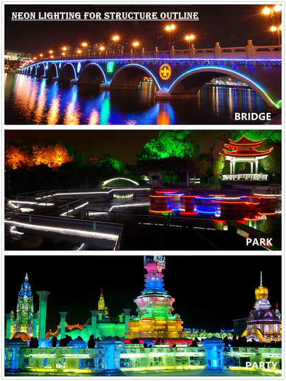 IEKOV LED NEON Light, AC 110-120V Flexible LED Neon Strip Lights, 120 LEDs/M, Dimmable, Waterproof 2835 SMD LED Rope Light + Remote Controller for Party Decoration (98.4ft/30m, Green)