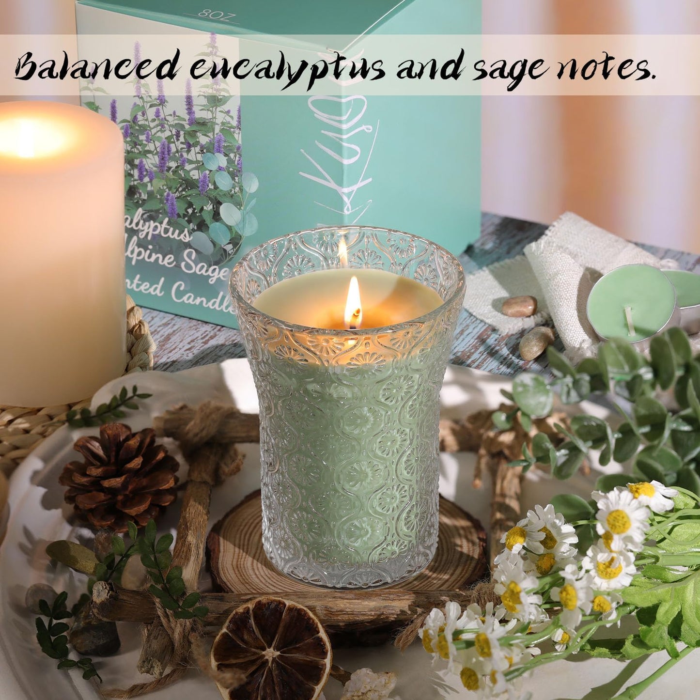HAVITI Eucalyptus & Alpine Sage Scented Candle, Galentines Valentines Mother's Day Soy Jar Candles Gift Men Women,8 OZ Aromatherapy Luxury Candles for Home Decor