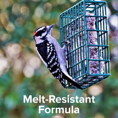 Blue Seal Nut Feast Suet Cakes for Wild Birds - No Mess Suet Feed with Nut Variety | 11oz (6 Pack)