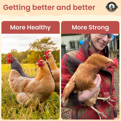 Natural Chicken Dewormer Powder - Chili Mix Formula | 1LB XL Pouch for Laying Hens & Gut Health Support