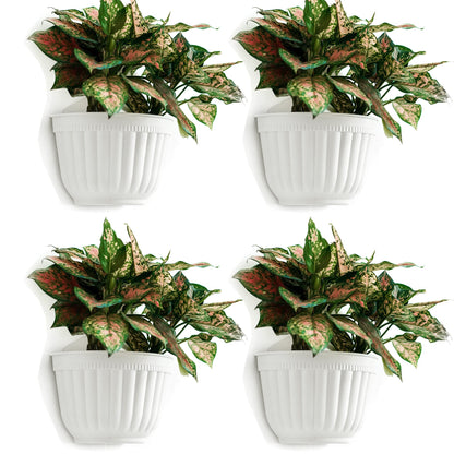 ORIMERC 4 Pack White Wall Planter Pots Vertical Living Wall Hanging Planters Wall Mounted Planter Holder with Drainage Hole for Indoor Outdoor Plants Wall Decor with Hooks/Screws