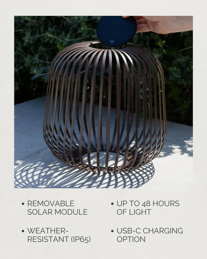LUUK Studio Solis Wireless Solar LED Ambient Table Light, Warm White, 3 Dimmable Levels, Indoor & Outdoor, Solar & USB-C Rechargeable, Living Room, Bedside, Organic Contemporary, Walnut Brown, Size L