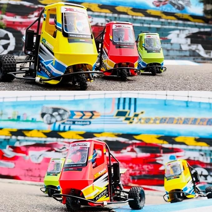 1/8 RC X-Rider Flamingos 2.4G 3WD 2 in 1 ESC High Speed Rc Car Electric Tricycle Motorcycle Tricycle RTR Drift Adult Vehicles Collection Model (Red)