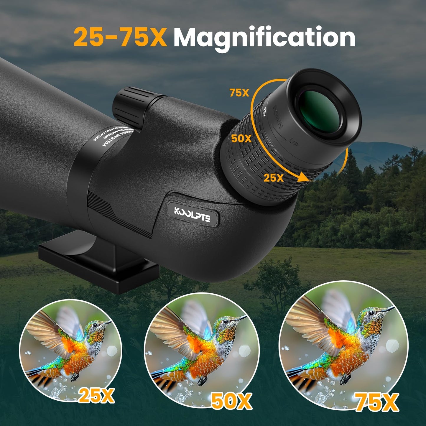 25-75x85 Spotting Scope with ED Glass, Phone Adapter, Tripod & Carrying Bag - Fully Multi-Coated BAK4 Waterproof Zoom Spotter Scope for Bird Watching, Wildlife Viewing, Hunting (Black)